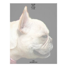 French Bulldog letterhead