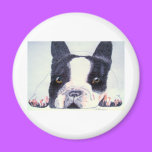 French Bulldog magnets