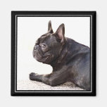 French Bulldog magnet