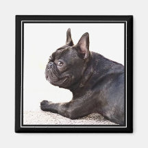 French Bulldog magnet