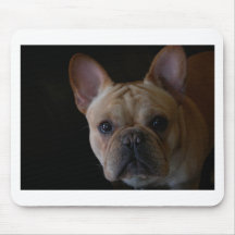 French Bulldog Mouse Pads