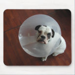 French Bulldog mousepads