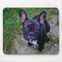 French Bulldog mousepads by EMangl French Bulldog mousepads