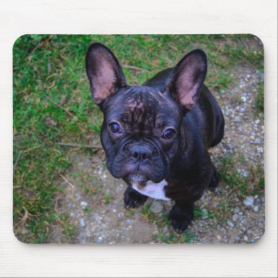 French Bulldog Mouse Mat by EMangl