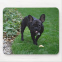 French Bulldog mousepads