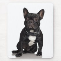 French Bulldog mousepads by White_Wedding French Bulldog mousepads