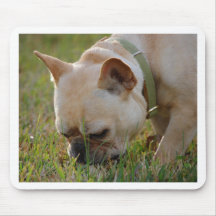 French Bulldog Mousepad