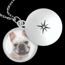 French bulldog necklace necklaces