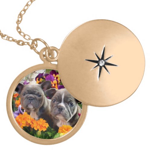 French bulldog necklace zazzle_necklace