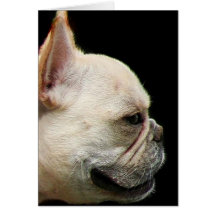 French Bulldog note card