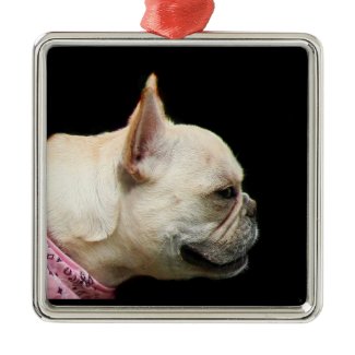 French Bulldog ornament ornament
