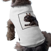 French Bulldog Pet T-shirt