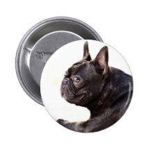 French Bulldog Pin