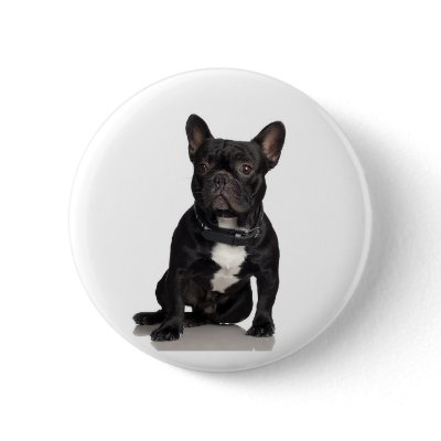 French Bulldog Pinback Buttons