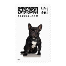 French Bulldog Postage Stamps