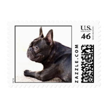 French Bulldog Postage Stamps