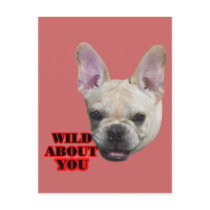 French Bulldog postcards