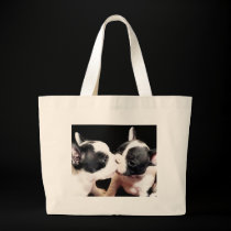 French bulldog puppies bags