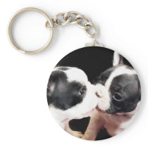 French bulldog puppies key chain