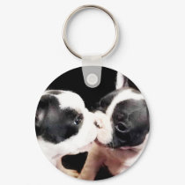 French bulldog puppies keychains