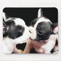 French bulldog puppies mouse mats