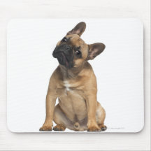 French Bulldog puppy (7 months old) Mouse Pad