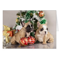 French bulldog puppy and Christmas gifts Greeting Cards