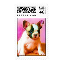 French Bulldog puppy art postage