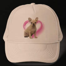French bulldog puppy hat hats