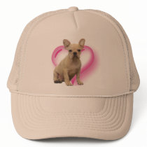 French bulldog puppy hat