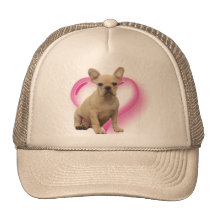 French bulldog puppy hat