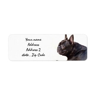 French Bulldog Return Address Label