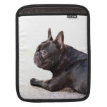 French Bulldog Rickshaw iPad Sleeve