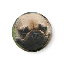 French Bulldog round magnet