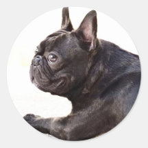 French Bulldog Round Sticker