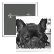 French Bulldog Square Pin