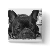 French Bulldog Square Pin