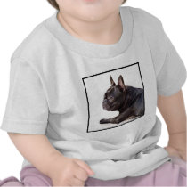 French Bulldog T-shirt