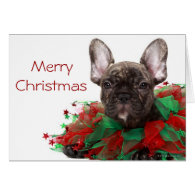 French bulldog wearing Christmas collar Card