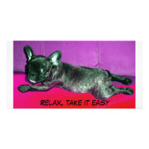 French bulldogge photo card