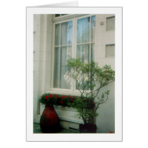 French Courtyard cards