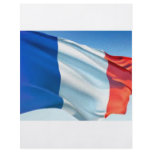 French Flag Full Color Flyer
