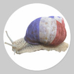 French flag snail stickers
