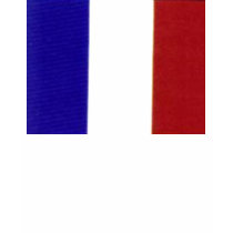 French flag t-shirt