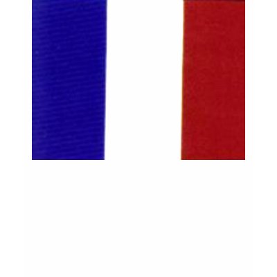 French flag t-shirt by freepaganpages