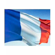 French Flag t-shirts