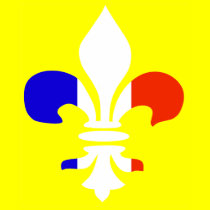 French-fleur-de-lis - T-shirt