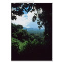 FRENCH GUIANA: Rain forest view cards by cgracie FRENCH GUIANA: Rain forest view cards