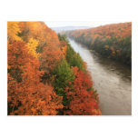 French King Gorge Foliage Postcards
