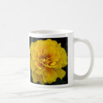 French Marigold mugs